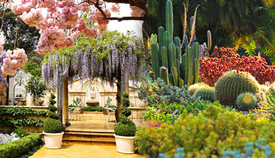Adelaide Botanic Garden, flowers and plants